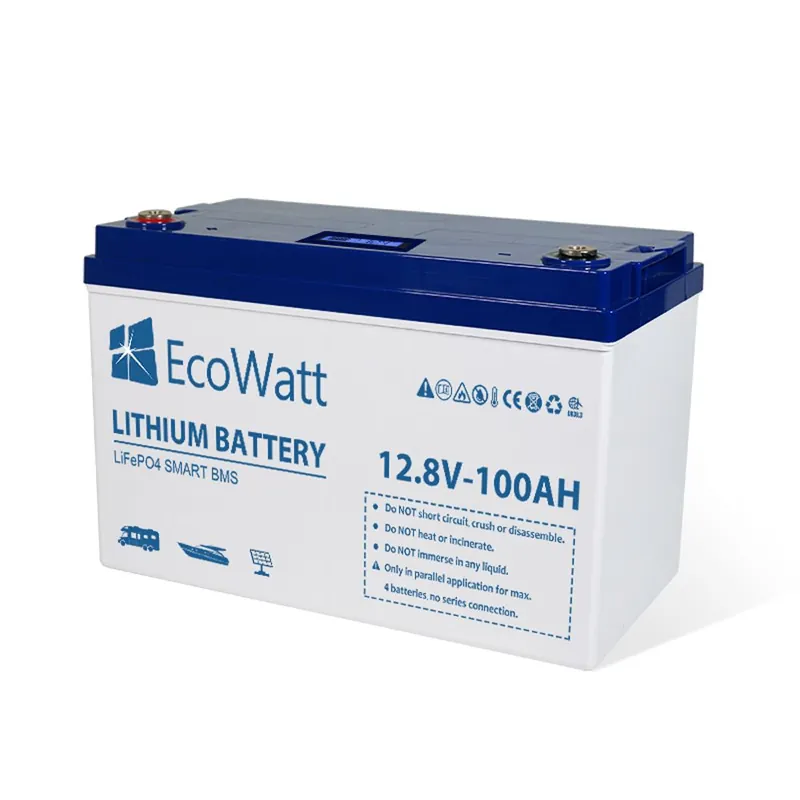 Ecowatt Batteria al litio LiFEPO4 Smart BMS Superprijs